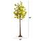 5ft. Pre-Lit Green Autumn Oak Artificial Fall Tree with 200 Warm White LED Lights
